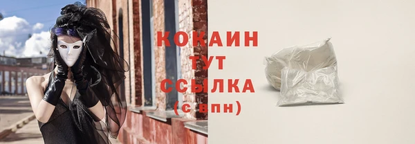 прущие грибы Заволжье