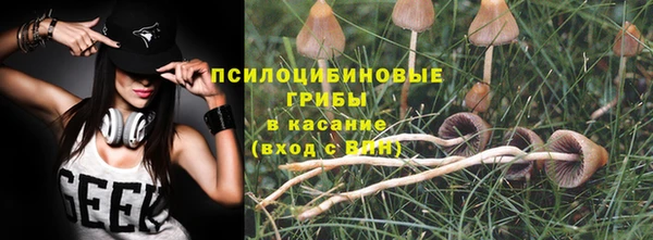 прущие крисы Заволжск