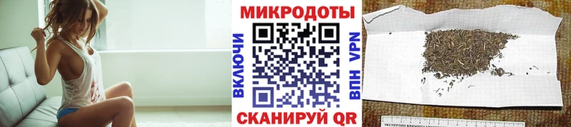 Псилоцибиновые грибы Psilocybe  Купить закладки  Арамиль 